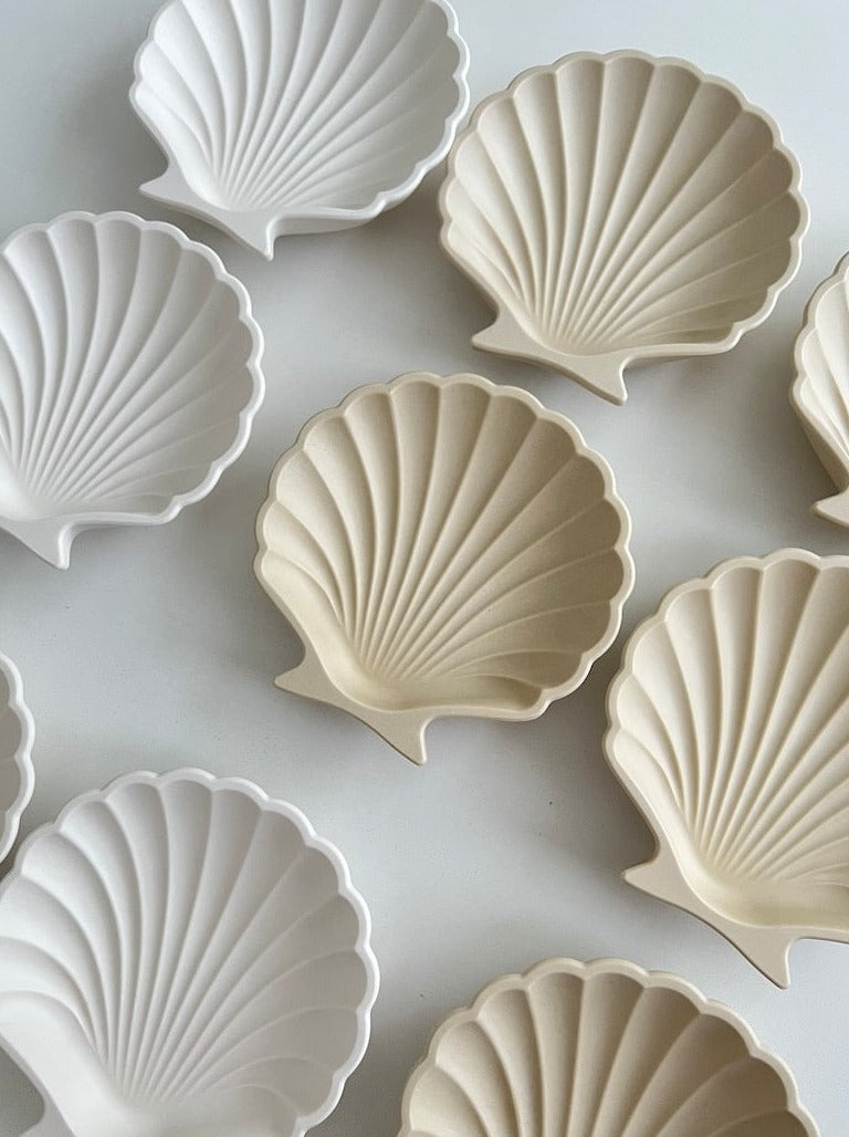 Shell tray, jewelry tray, soap dish